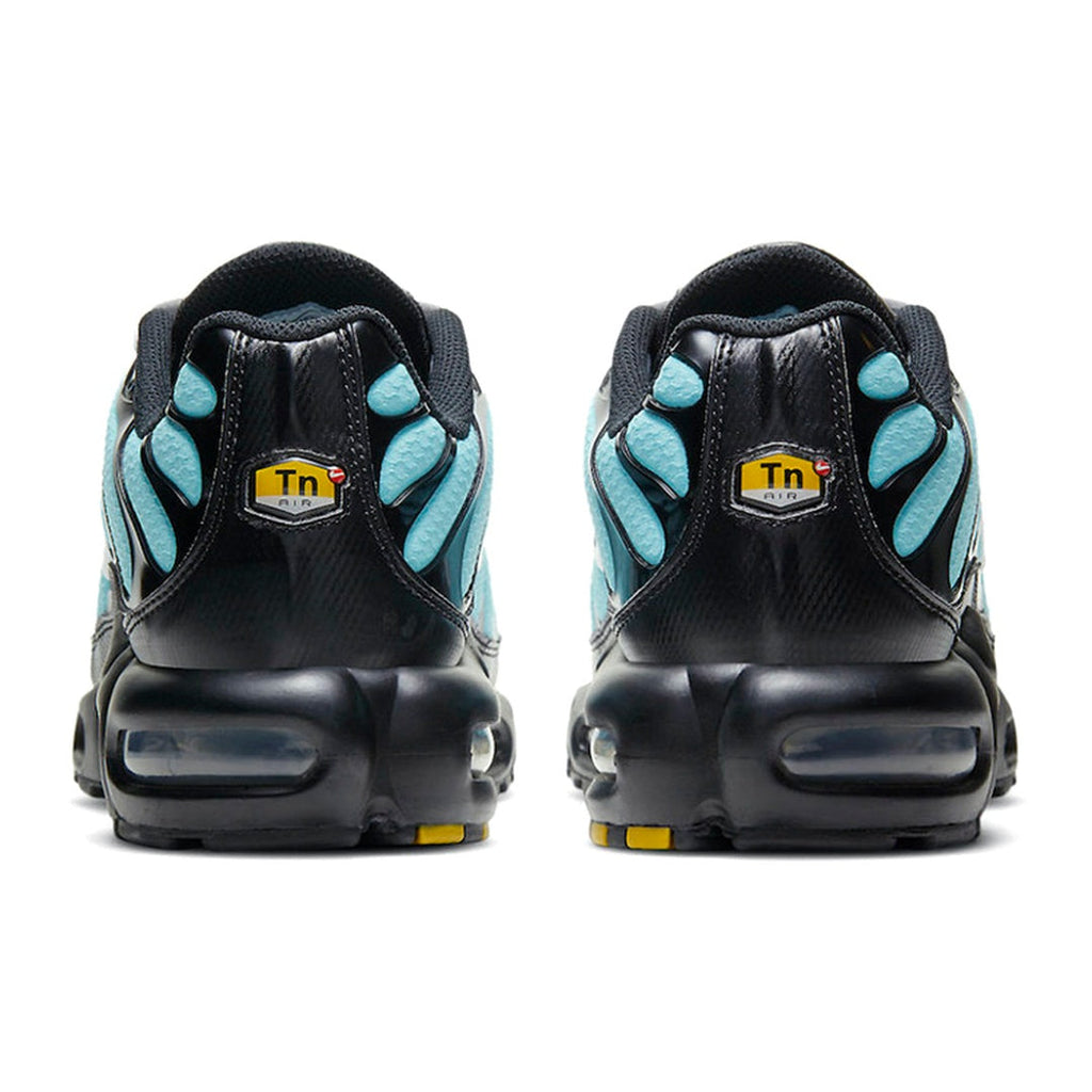 Nike Air Max Plus Aqua Blue