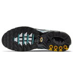 Nike Air Max Plus Aqua Blue